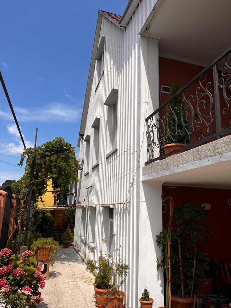 Kobuleti Guest House Chexov 24 Koboeleti Buitenkant foto