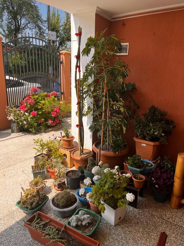 Kobuleti Guest House Chexov 24 Koboeleti Buitenkant foto