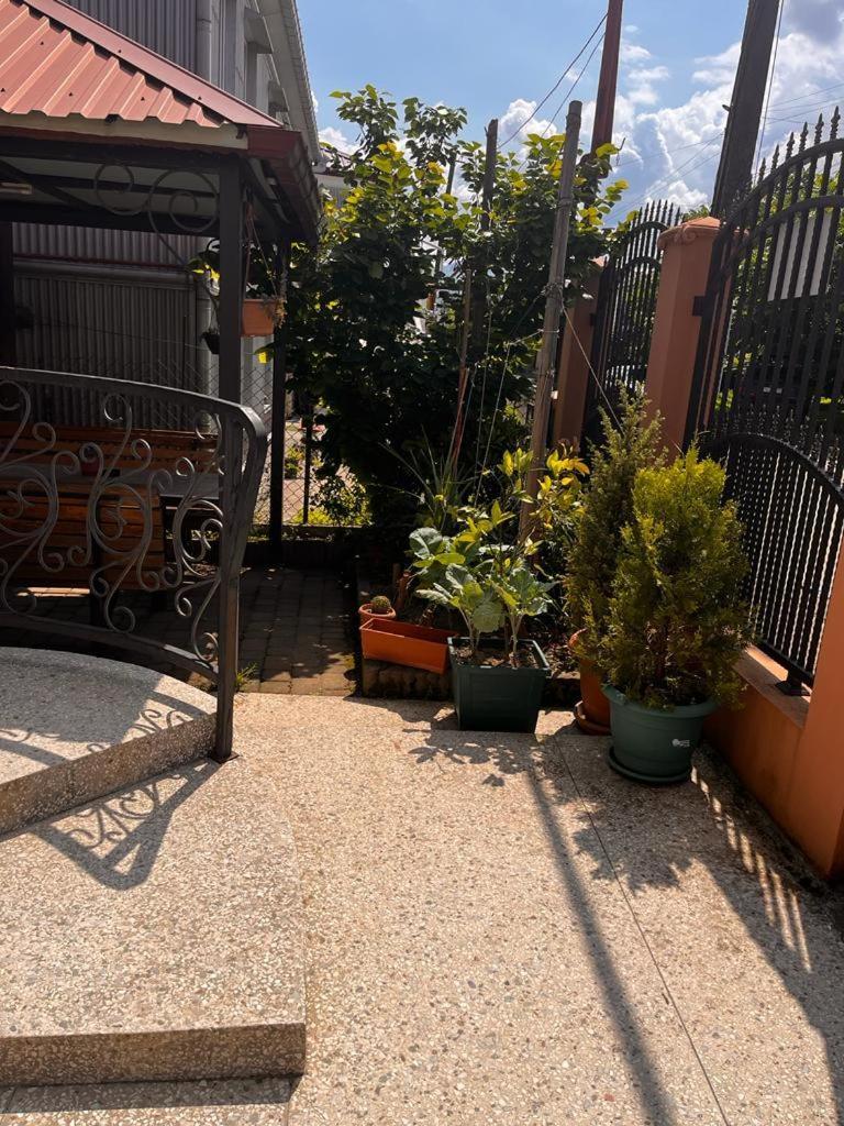 Kobuleti Guest House Chexov 24 Koboeleti Buitenkant foto